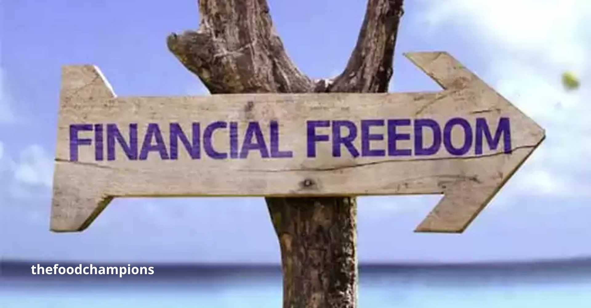 Apa Itu Financial Freedom dan Gimana Cara Mencapainya?