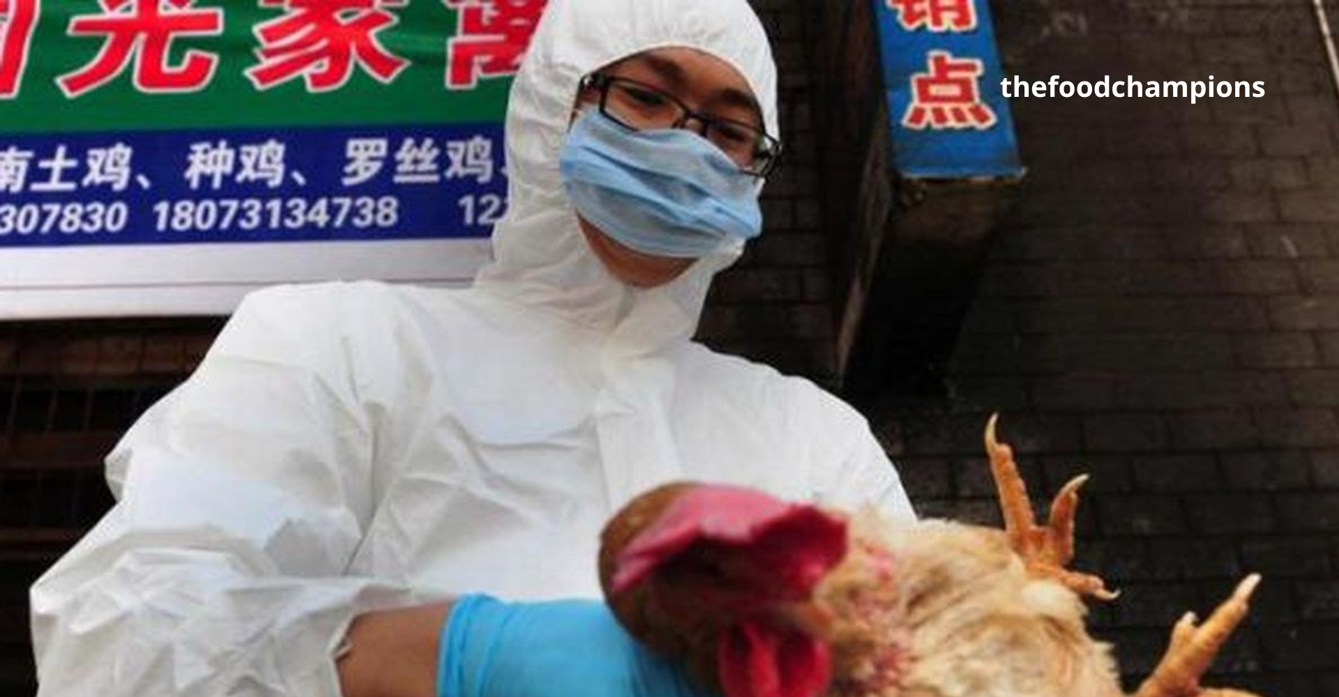 Flu Burung: Apa Itu dan Bagaimana Cara Mencegahnya?